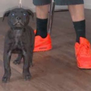 Meet your Posher, Zach